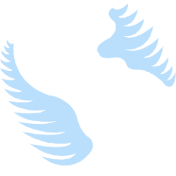 Flexible Solutions International, Inc. (FSI) logo