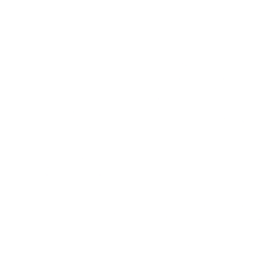Gorilla Technology Group Inc. (GRRR) logo