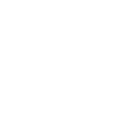 New Horizon Aircraft Ltd. (HOVR) logo