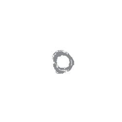Histogen Inc. (HSTO) logo