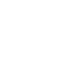 Hub Cyber Security Ltd. (HUBC) logo