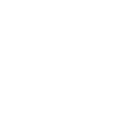 Hyzon Motors Inc. (HYZN) logo