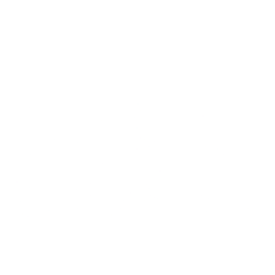 Intelligent Bio Solutions Inc. (INBS) logo