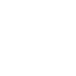 Innodata Inc. (INOD) logo