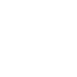 JetBlue Airways Corp (JBLU) logo