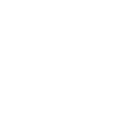 Jet.AI Inc. (JTAI) logo