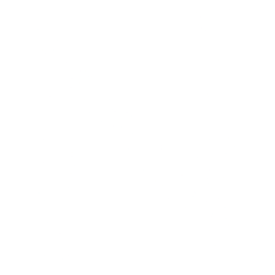 Nordstrom, Inc. (JWN) logo