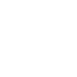 Kirkland's Inc (KIRK) logo