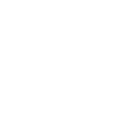 KKR & Co. Inc. (KKR) logo