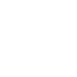 Korro Bio, Inc. (KRRO) logo