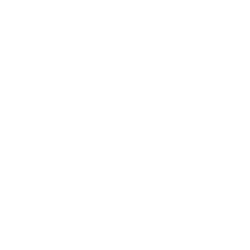 SEALSQ Corp (LAES) logo