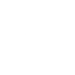 LeddarTech Holdings Inc. (LDTC) logo