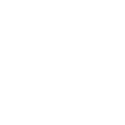 Lennar Corporation (LEN) logo