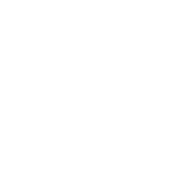 The Lion Electric Company (LEV) logo