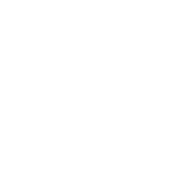 Li-Cycle Holdings Corp. (LICY) logo