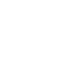 Lionsgate Studios Corp. (LION) logo