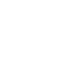 Lemonade, Inc. (LMND) logo