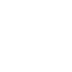 Cheniere Energy Inc (LNG) logo