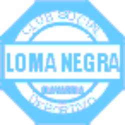 Loma Negra Compañía Industrial Argentina Sociedad Anónima American Depositary Shares (ADSs), each representing five (LOMA) logo