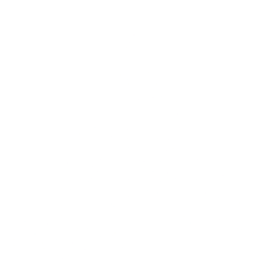 Lam Research Corp (LRCX) logo