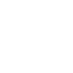 Lucy Scientific Discovery Inc. (LSDI) logo