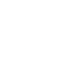 Lucid Diagnostics Inc. (LUCD) logo