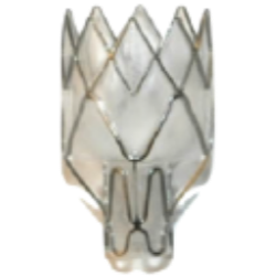 Pulmonx Corporation (LUNG) logo