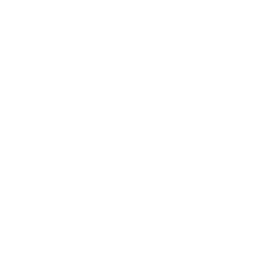 Main Street Capital Corporation (MAIN) logo