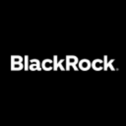 BLACKROCK MUNIHOLDINGS NEW YORK QUALITY FUND, INC (MHN) logo