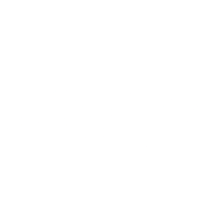 MSGN logo