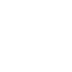 Northern Dynasty Minerals, Ltd. (NAK) logo