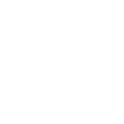 NeuBase Therapeutics, Inc. (NBSE) logo