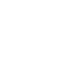 Netcapital Inc. (NCPL) logo
