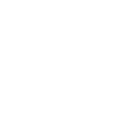 NEMKY logo