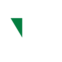 NexTier Oilfield Solutions Inc. (NEX) logo