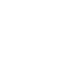 NewGenIvf Group Limited (NIVF) logo