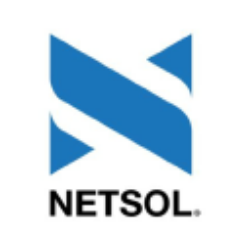 NetSol Technologies, Inc. (NTWK) logo