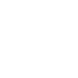 Natuzzi, S.p.A (NTZ) logo