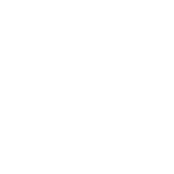 Holdco Nuvo Group D.G Ltd. (NUVO) logo