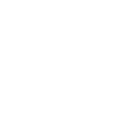 Novavax Inc (NVAX) logo