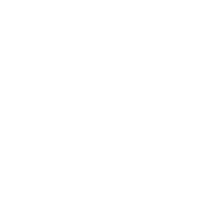 Next Technology Holding Inc. (NXTT) logo