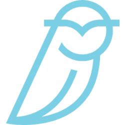 Blue Owl Capital Inc. (OWL) logo