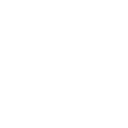 Pangaea Logistics Solutions Ltd. (PANL) logo