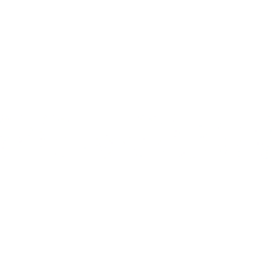 Penguin Solutions, Inc. (PENG) logo