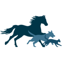 PetVivo Holdings, Inc. (PETV) logo