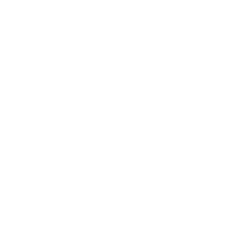 Polaris Inc. (PII) logo