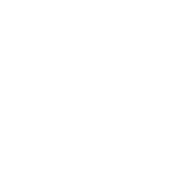 Platinum Group Metals LTD. (PLG) logo