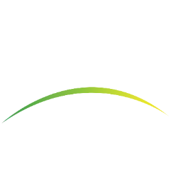 Piedmont Lithium Inc. (PLL) logo