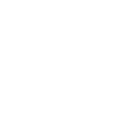PMAX2 logo