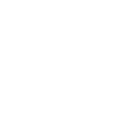 Primech Holdings Ltd. (PMEC) logo